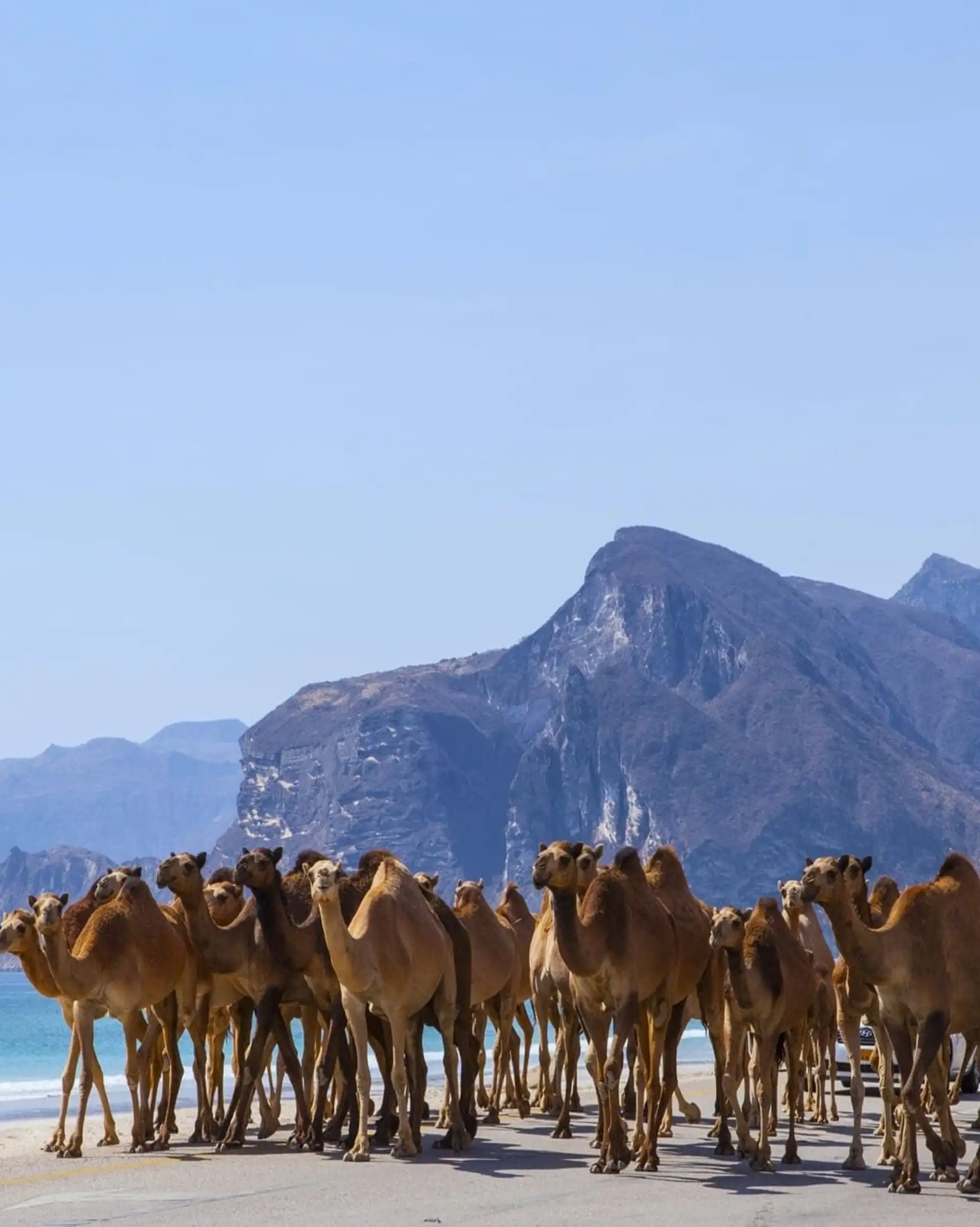 mascate-dhofar-oman