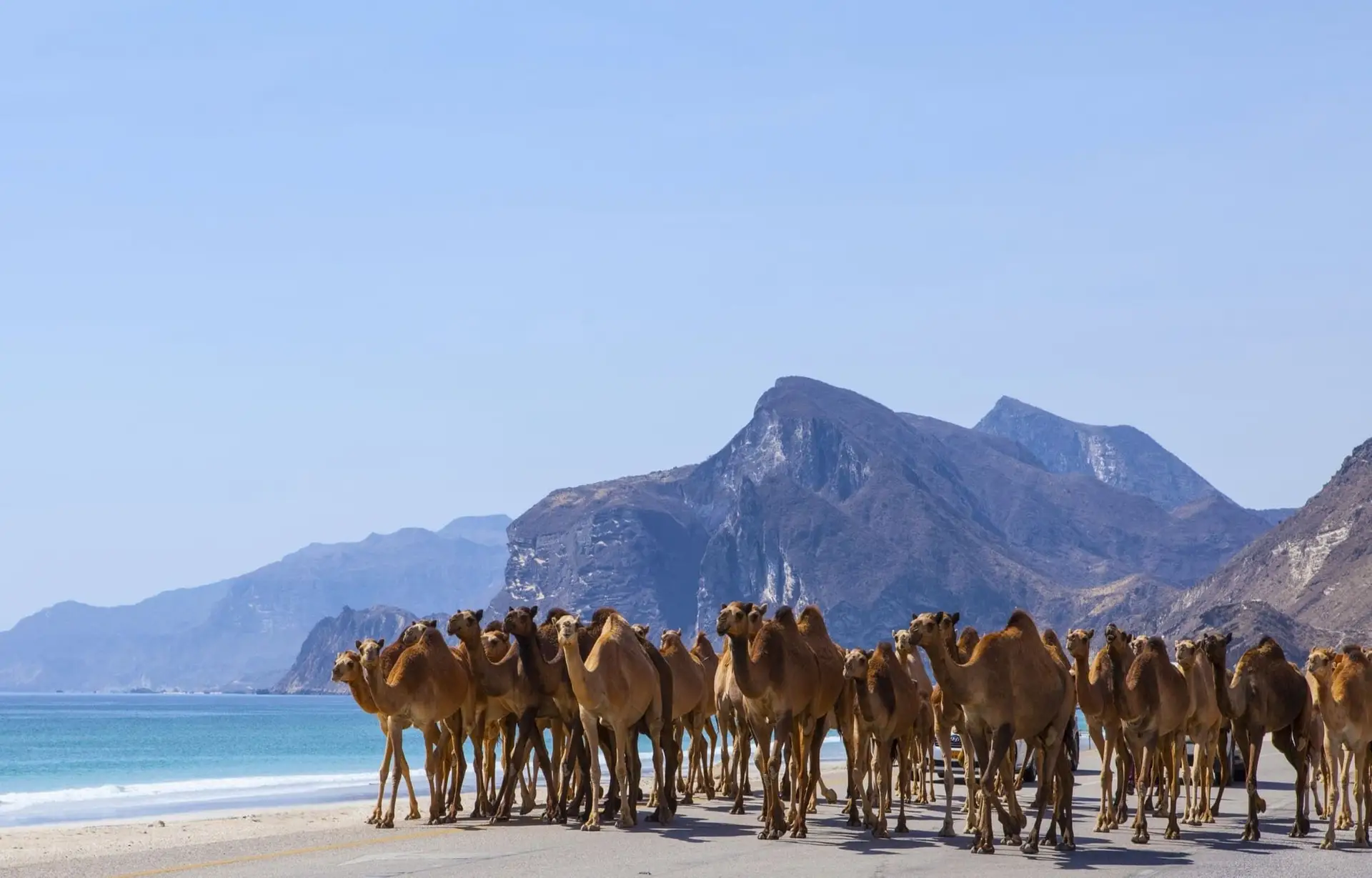 mascate-dhofar-oman
