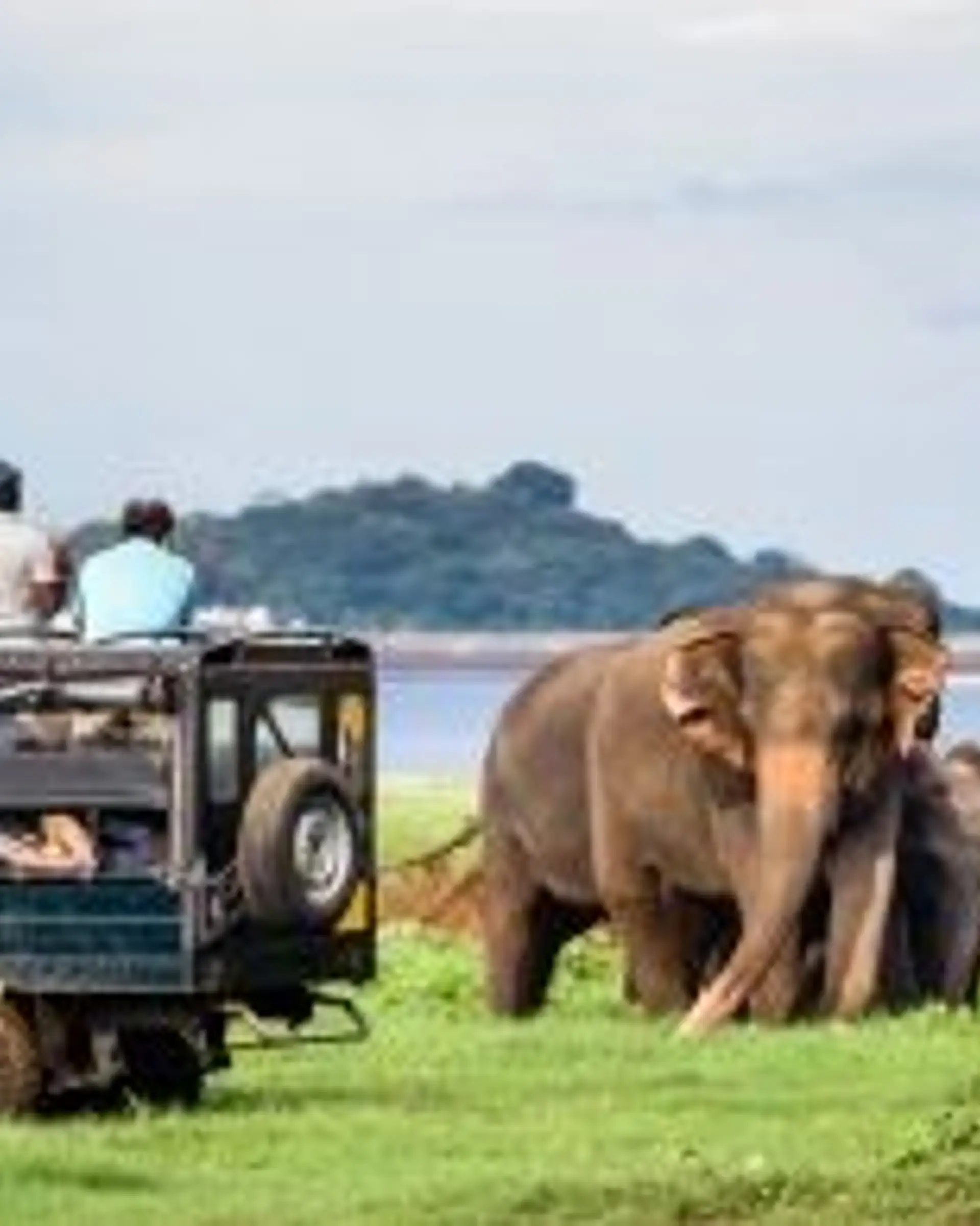 Travel in Asia - Two men in a safari vehicle admiring elephants in Minneriya National Park in Sri Lanka