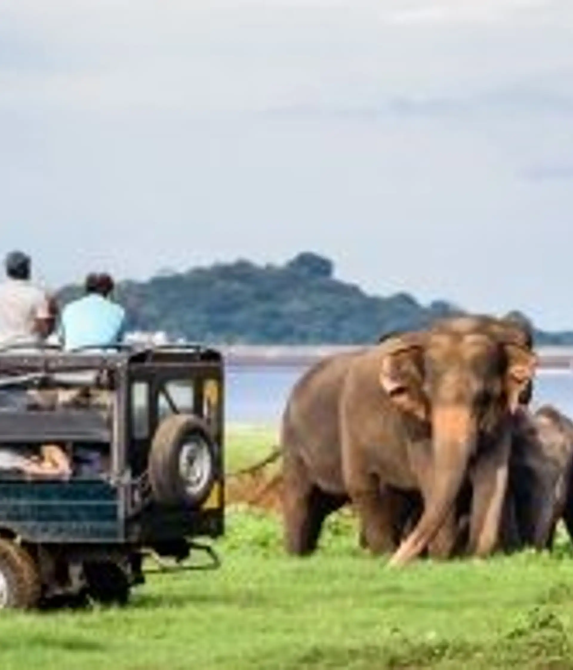 Travel in Asia - Two men in a safari vehicle admiring elephants in Minneriya National Park in Sri Lanka
