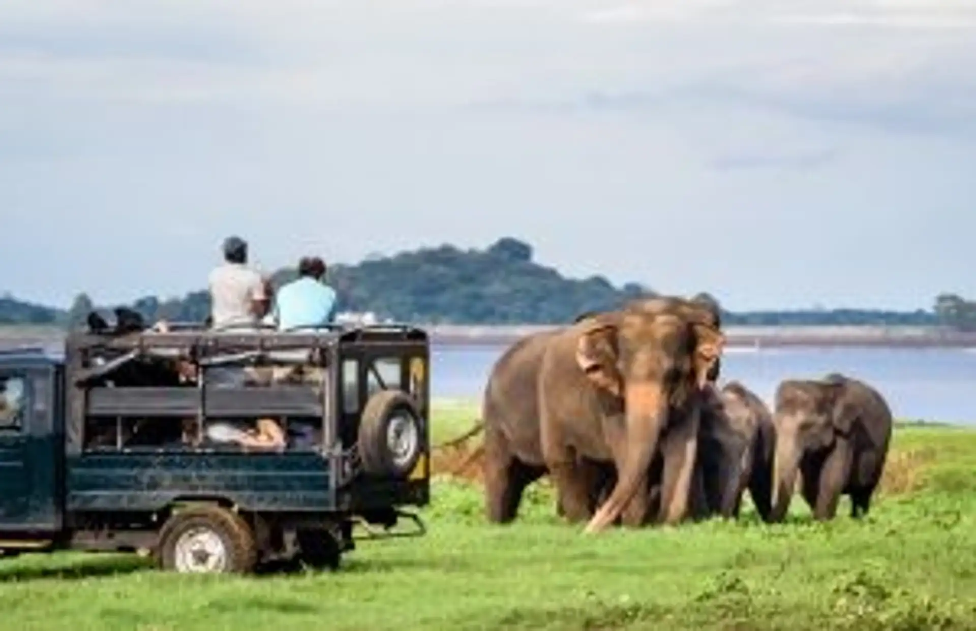 Travel in Asia - Two men in a safari vehicle admiring elephants in Minneriya National Park in Sri Lanka