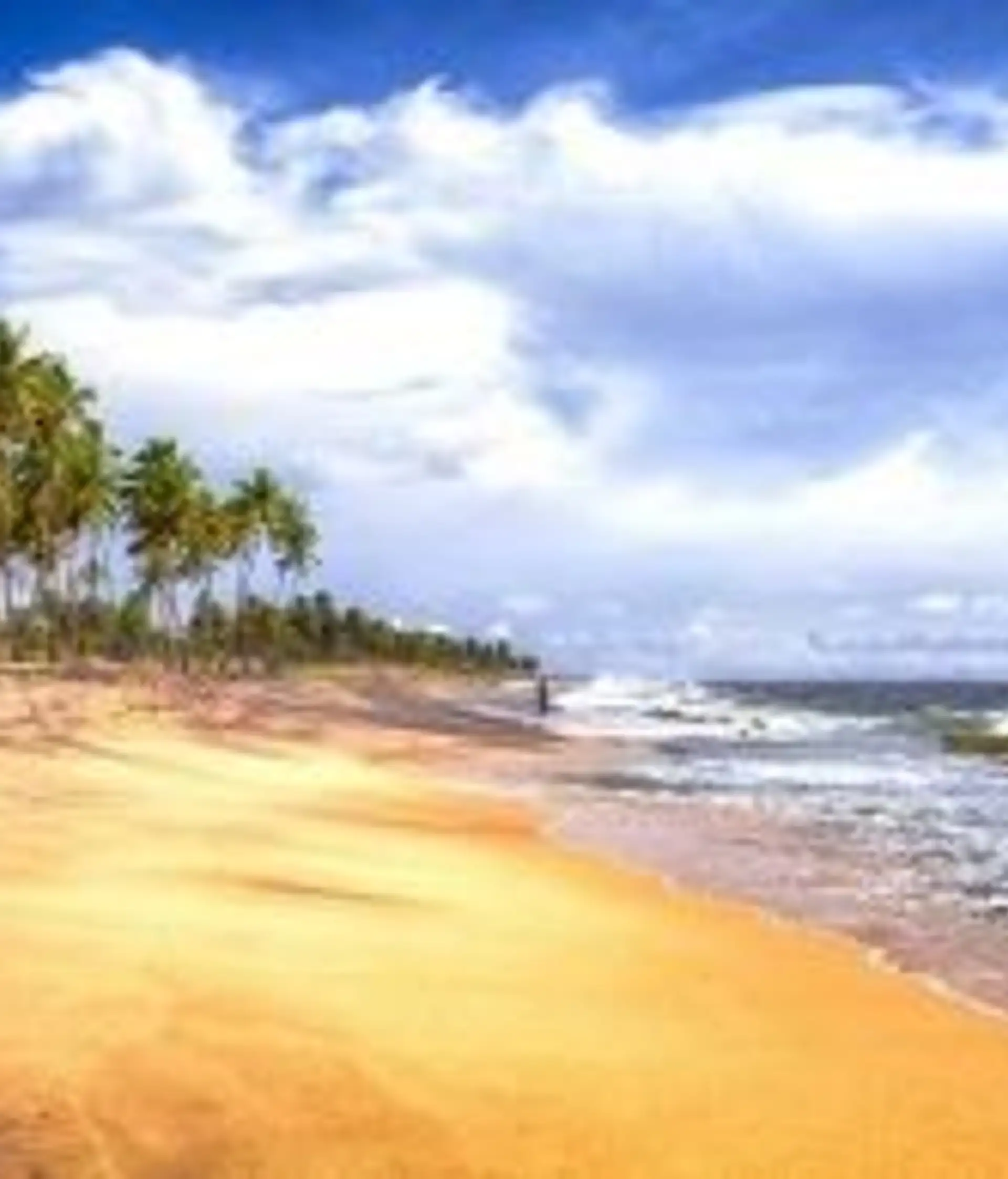 Travel in Asia - The white-sand Negombo Beach on Sri Lanka
