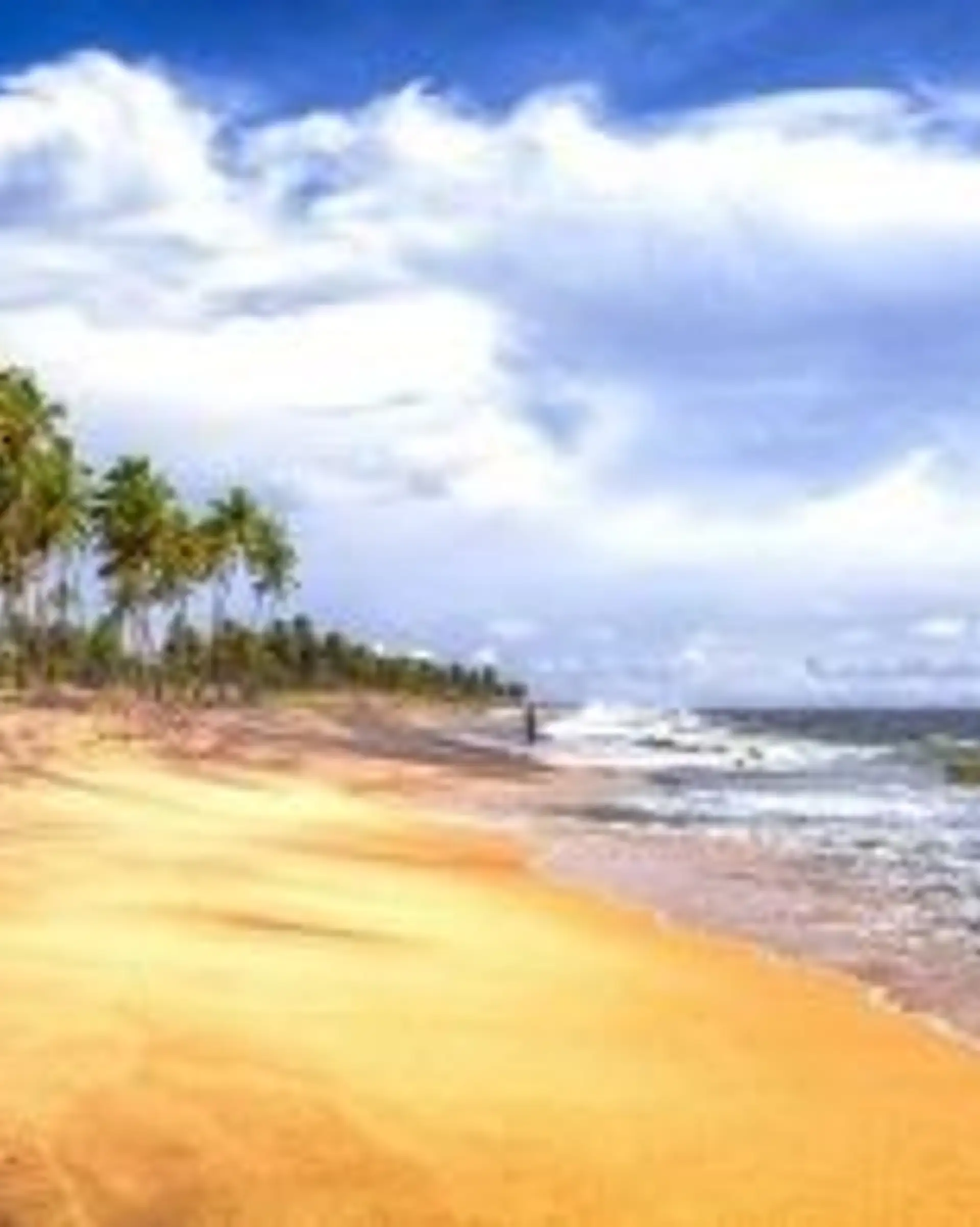 Travel in Asia - The white-sand Negombo Beach on Sri Lanka