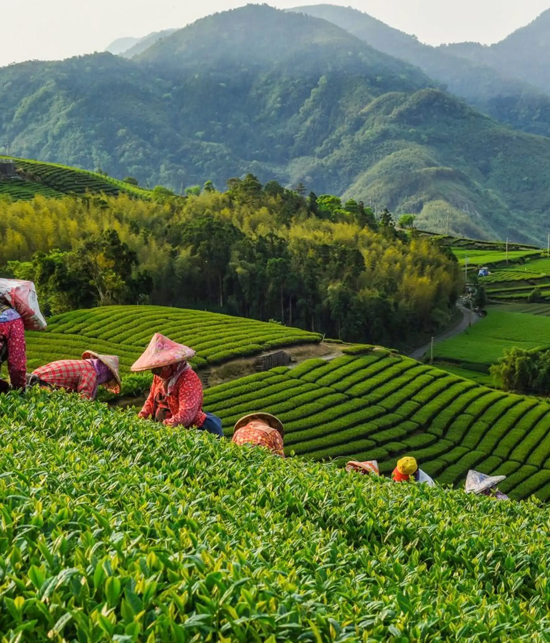 taiwan-autrement