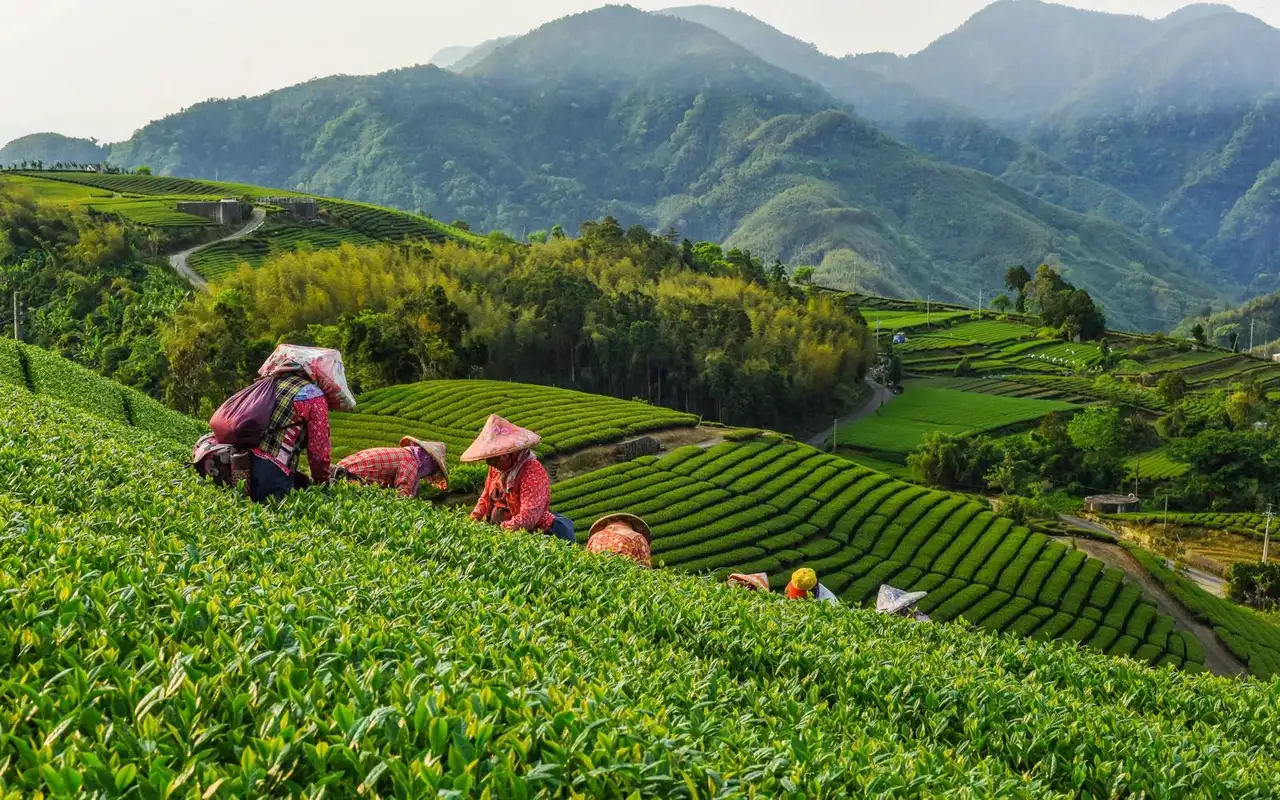 taiwan-autrement