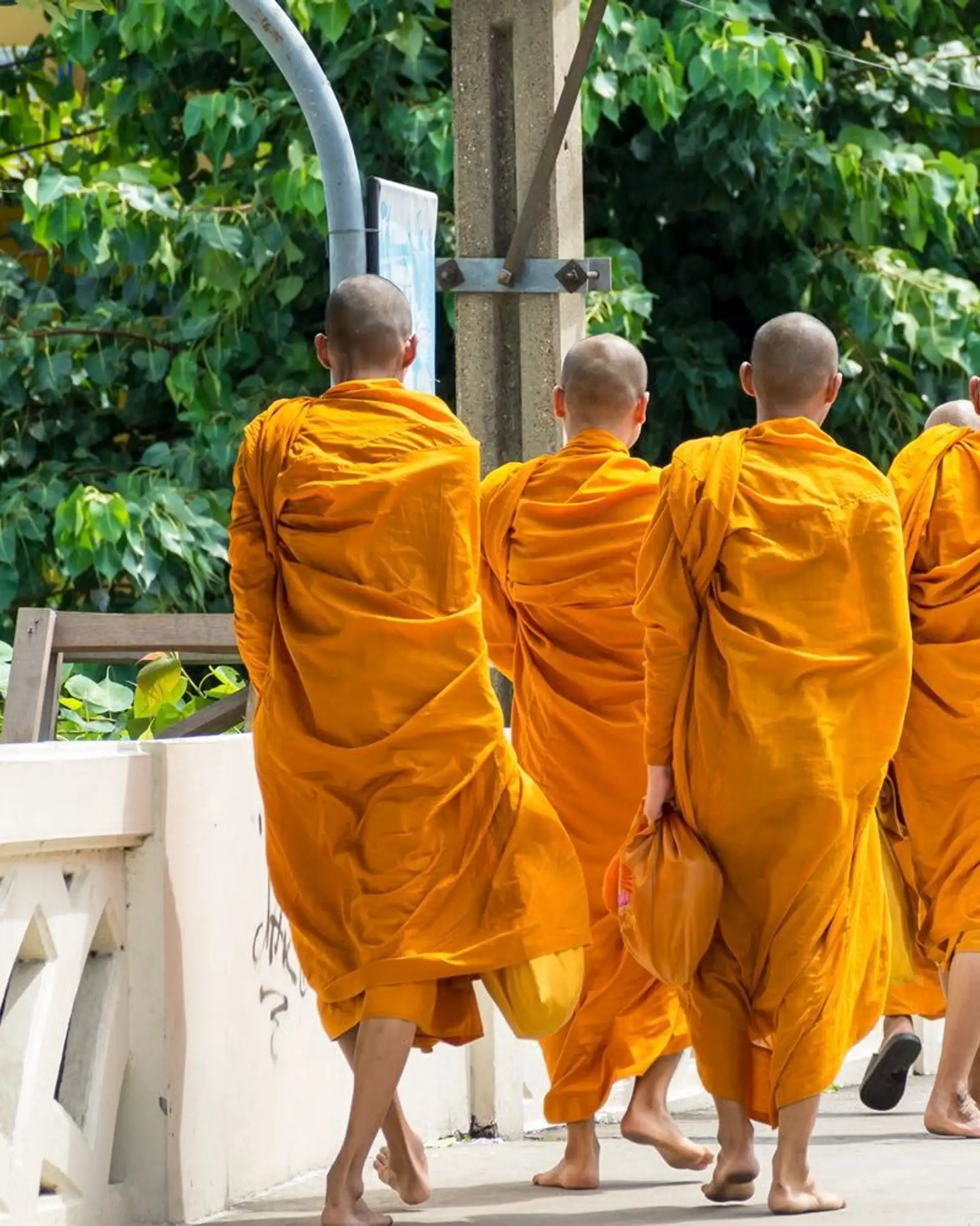 bangkok-femmes-girafes