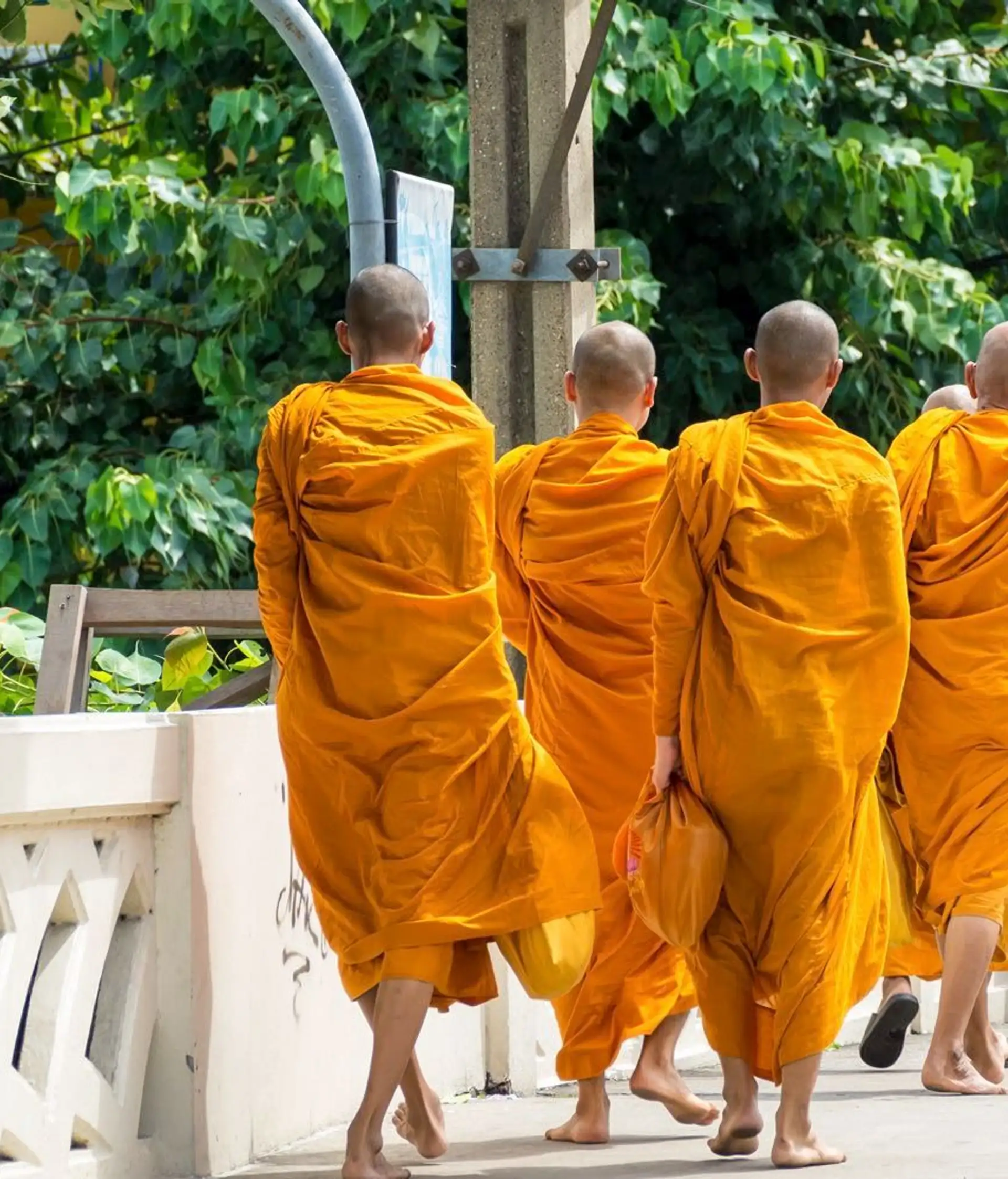 bangkok-femmes-girafes