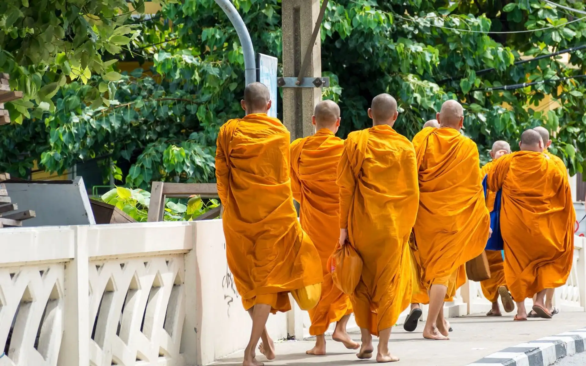 bangkok-femmes-girafes