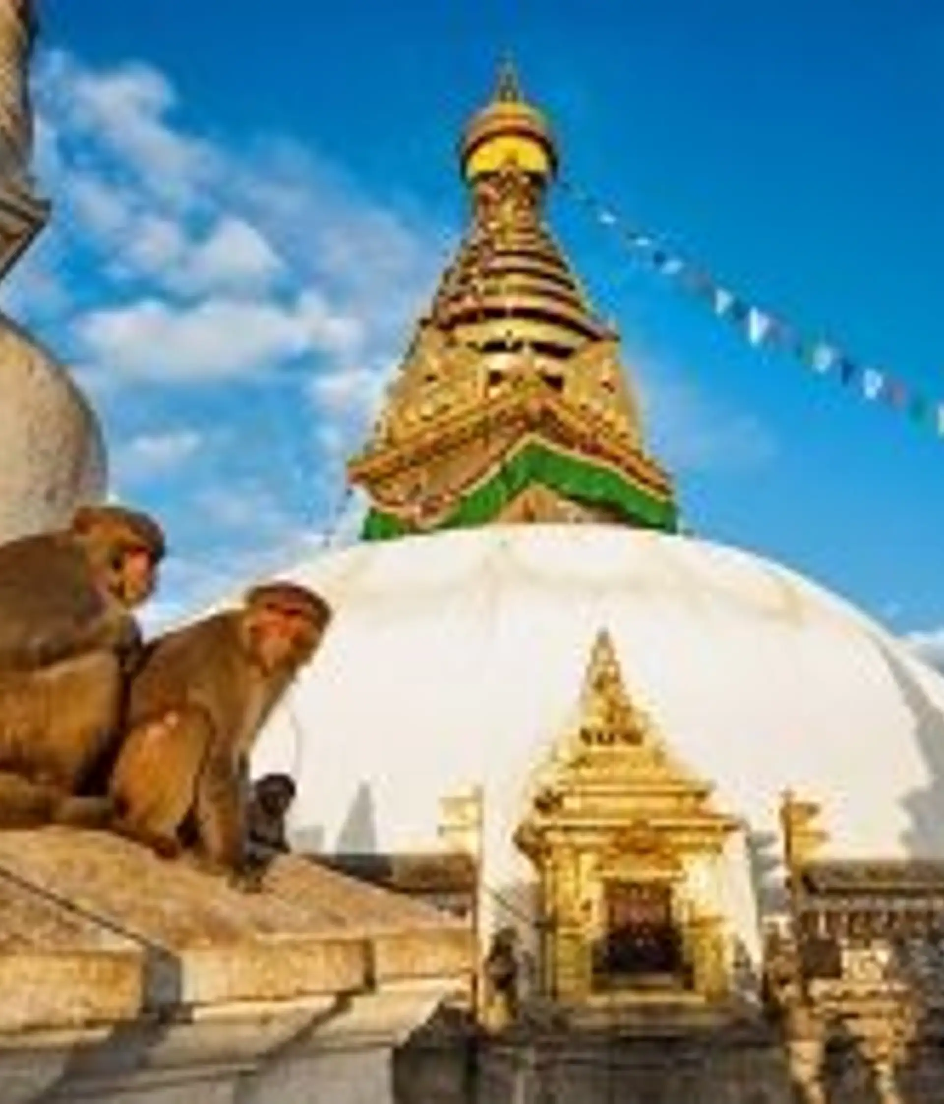 Travel in Asia - Two monkeys sit atop a temple building of the Swayambhunath temple in Kathmandu, Nepal