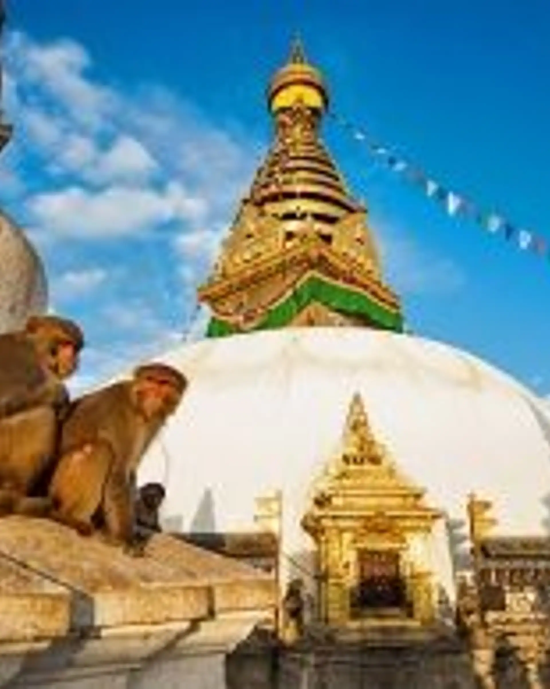 Travel in Asia - Two monkeys sit atop a temple building of the Swayambhunath temple in Kathmandu, Nepal