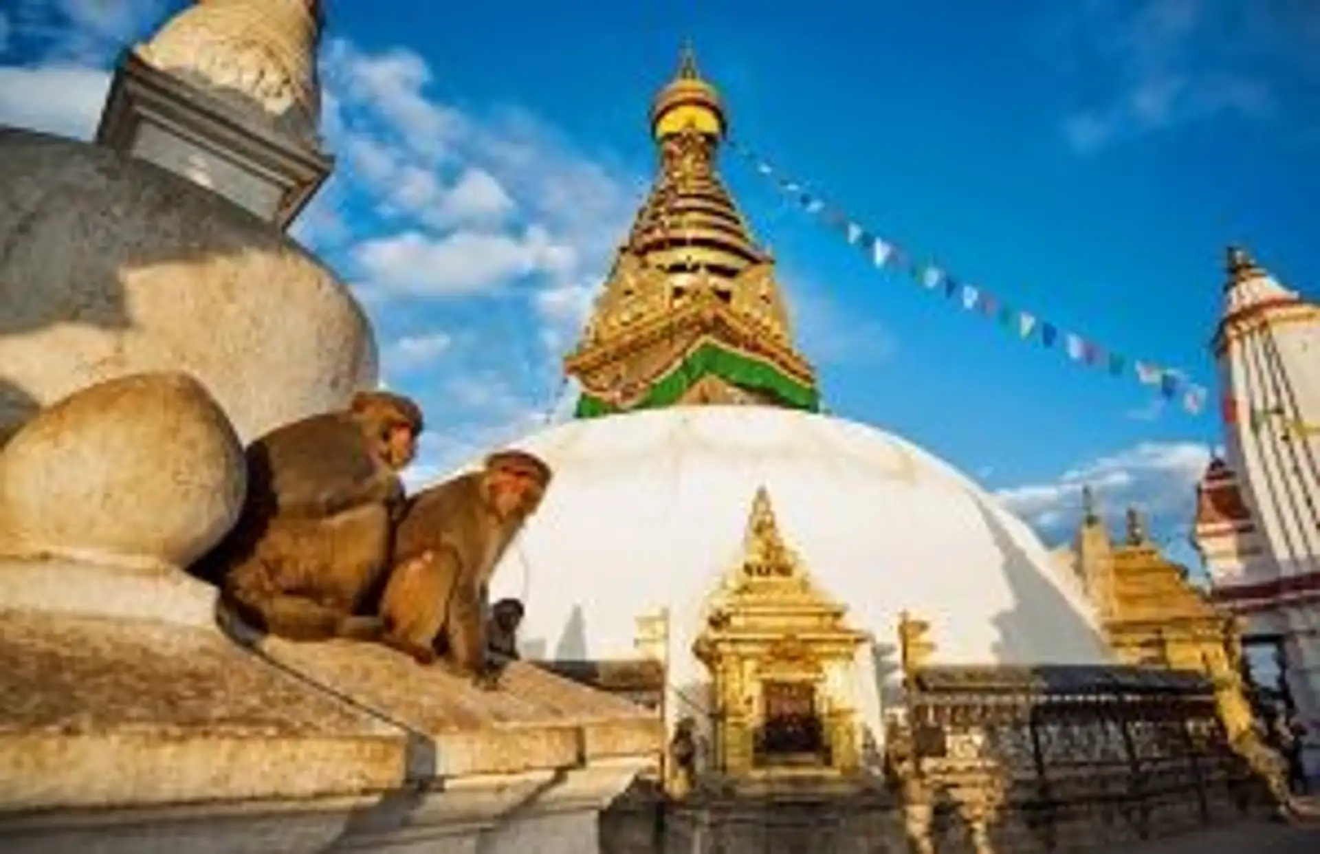 Travel in Asia - Two monkeys sit atop a temple building of the Swayambhunath temple in Kathmandu, Nepal