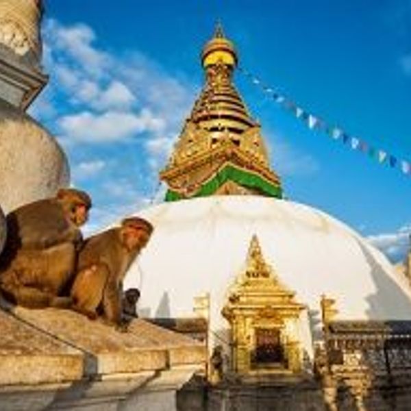 Travel in Asia - Two monkeys sit atop a temple building of the Swayambhunath temple in Kathmandu, Nepal