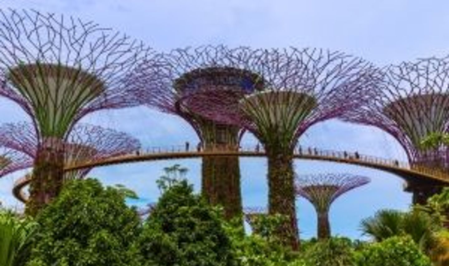 Travel in Asia - People traversing walkways amongst the Supertree Grove on a cloudy day in Singapore