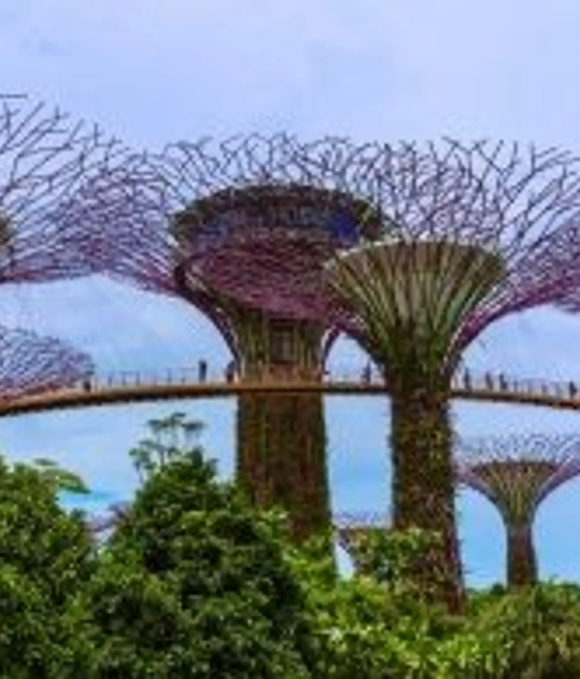 Travel in Asia - People traversing walkways amongst the Supertree Grove on a cloudy day in Singapore