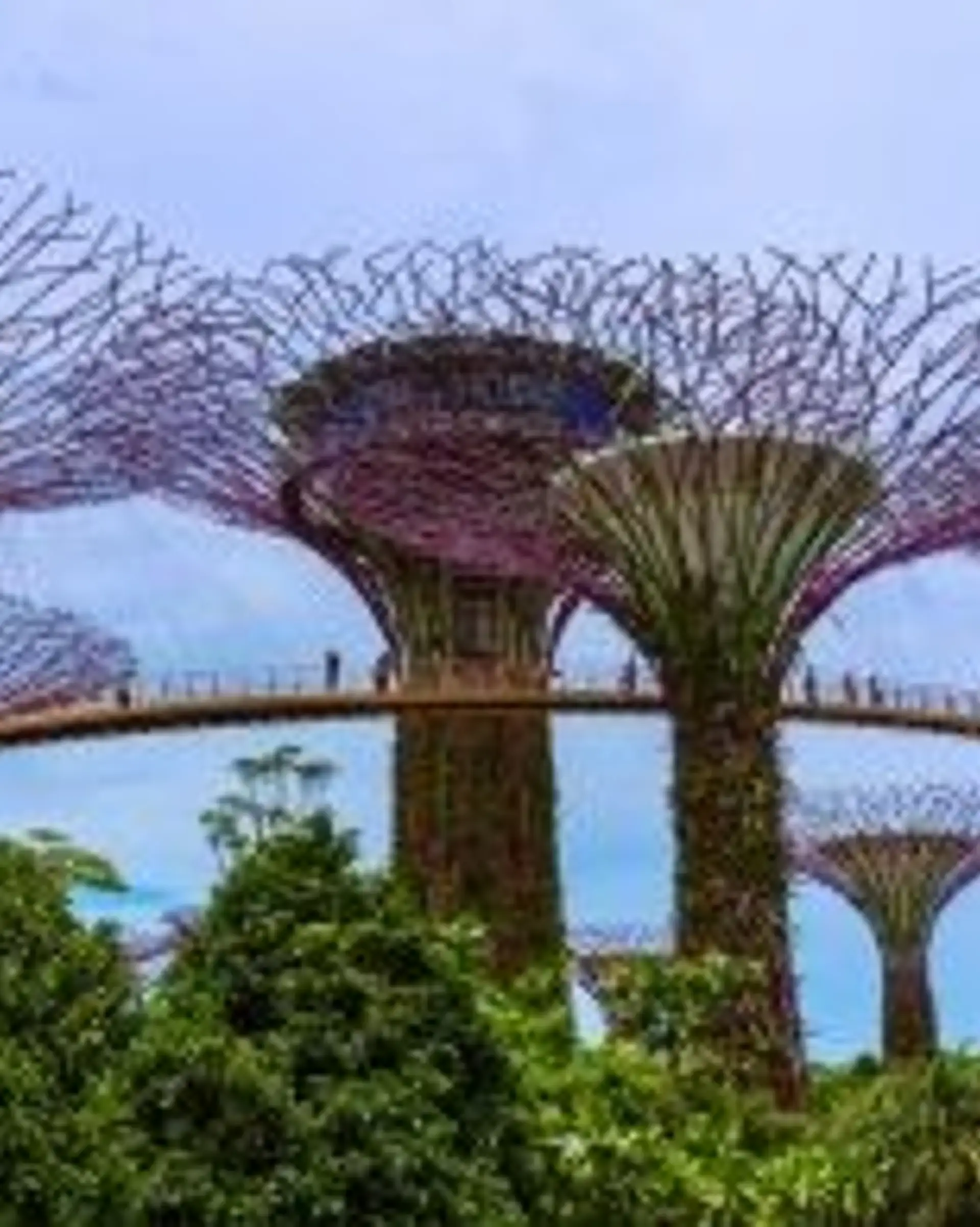 Travel in Asia - People traversing walkways amongst the Supertree Grove on a cloudy day in Singapore