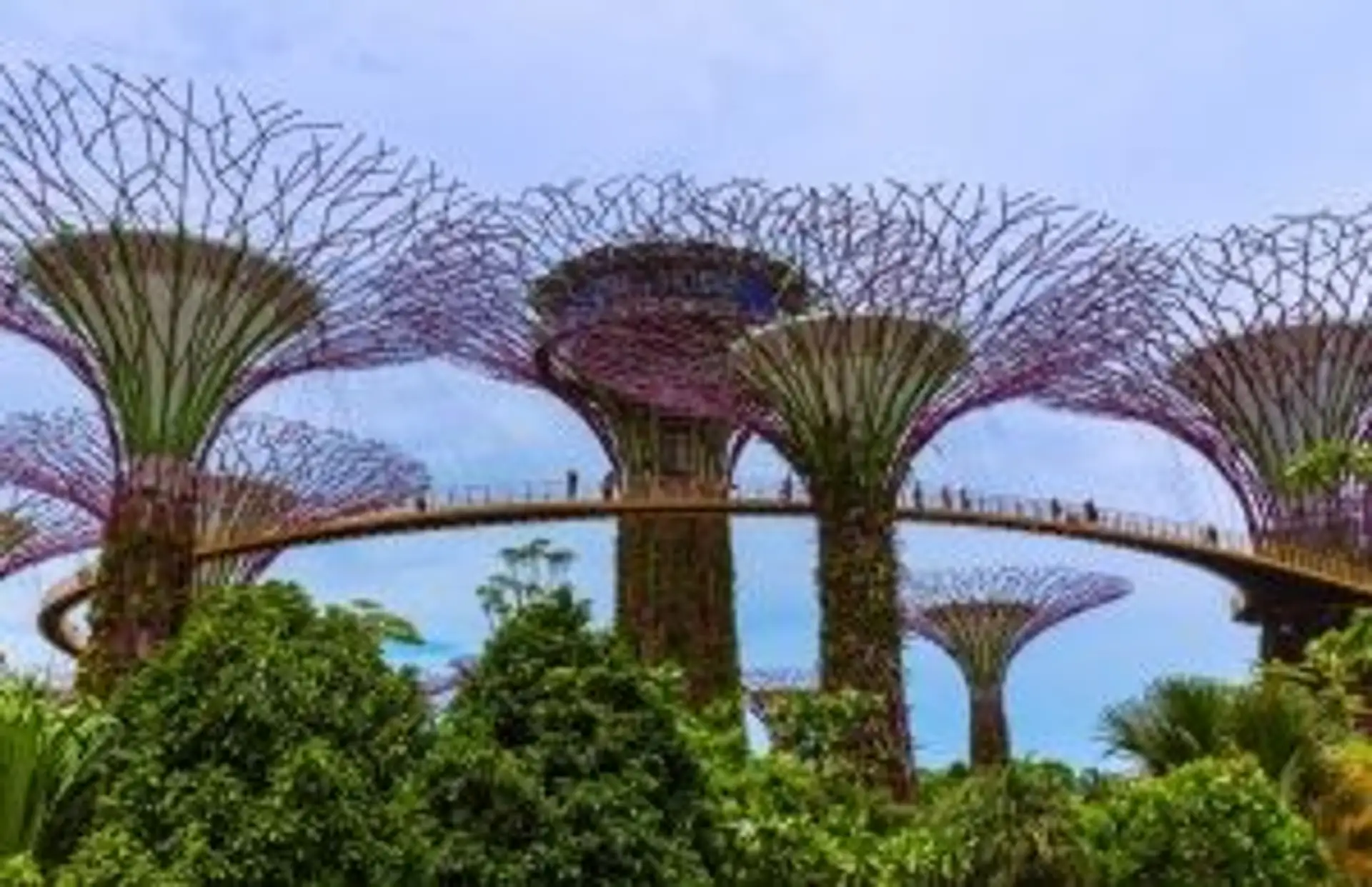 Travel in Asia - People traversing walkways amongst the Supertree Grove on a cloudy day in Singapore
