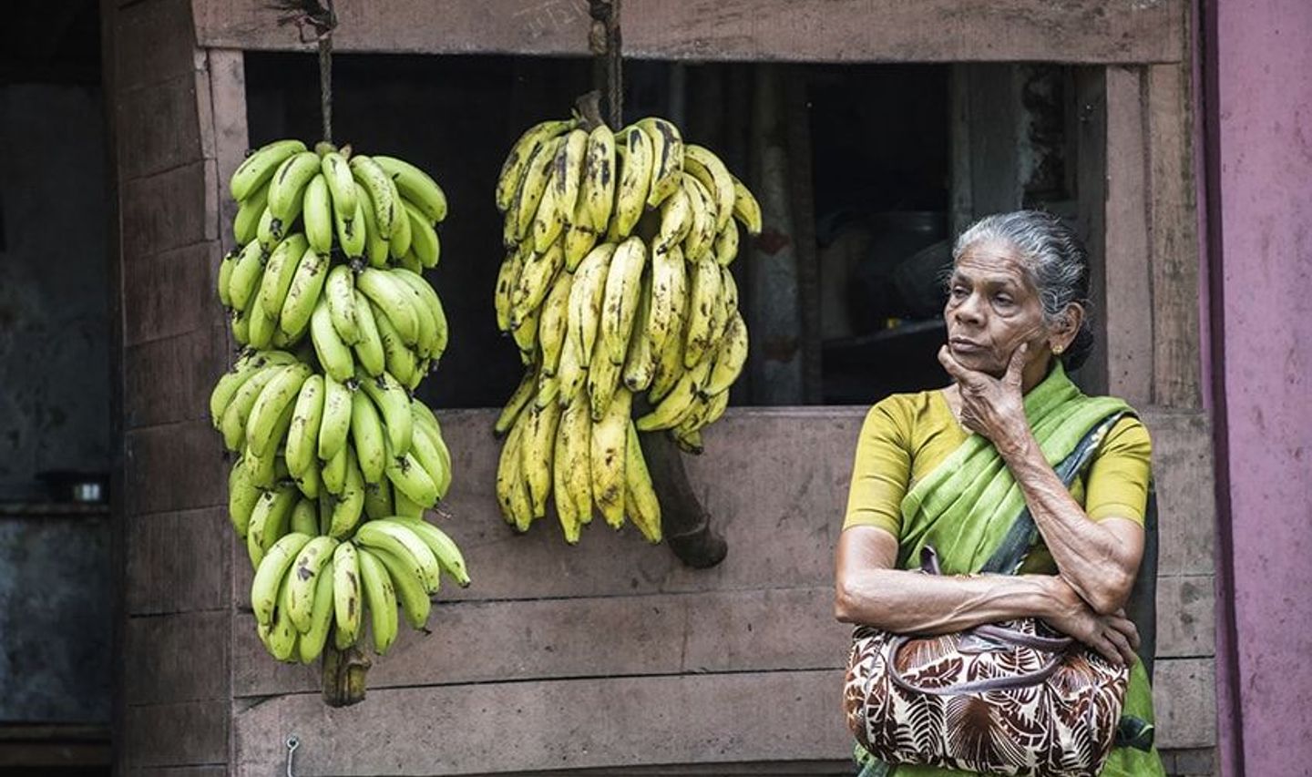 Travel in Asia - An elderly woman in a green and yellow traditional sari selling bananas in South India