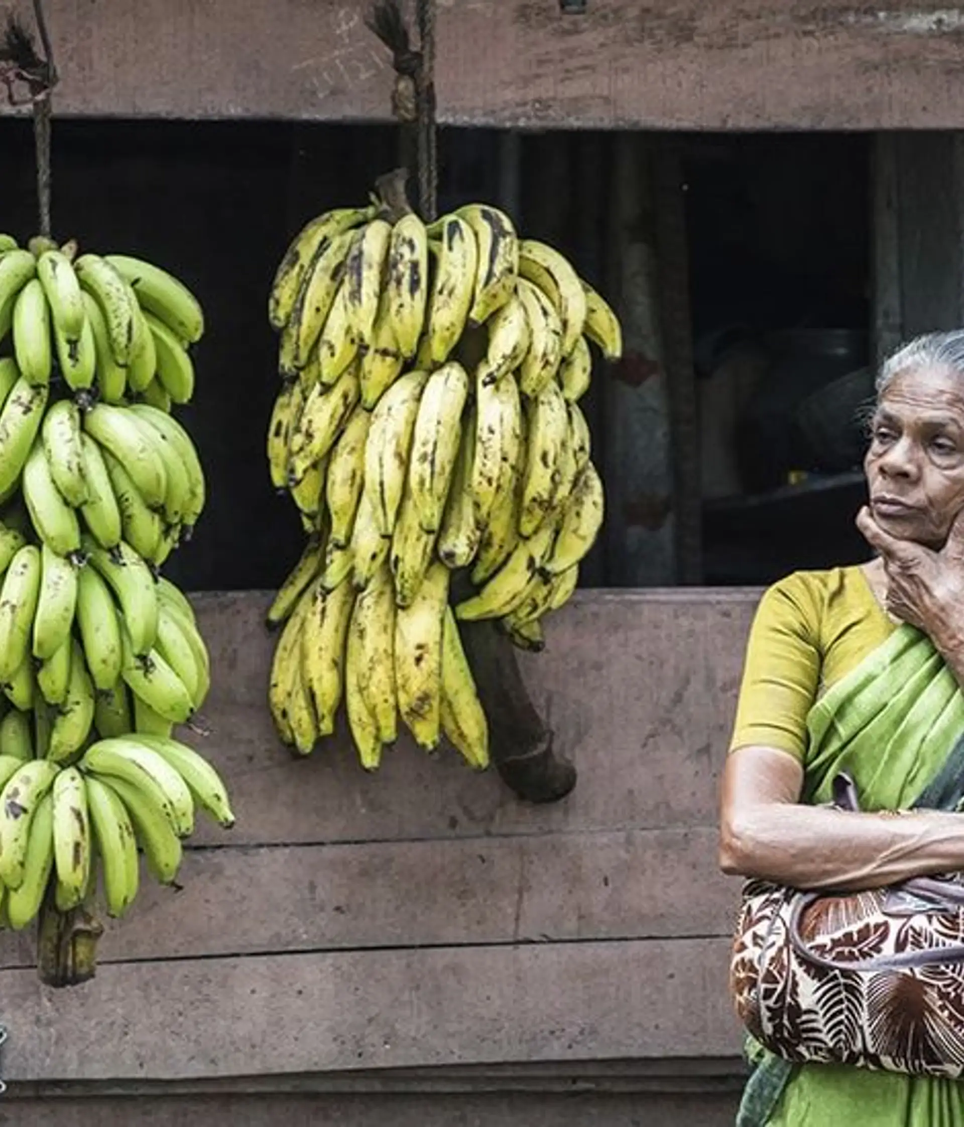 Travel in Asia - An elderly woman in a green and yellow traditional sari selling bananas in South India