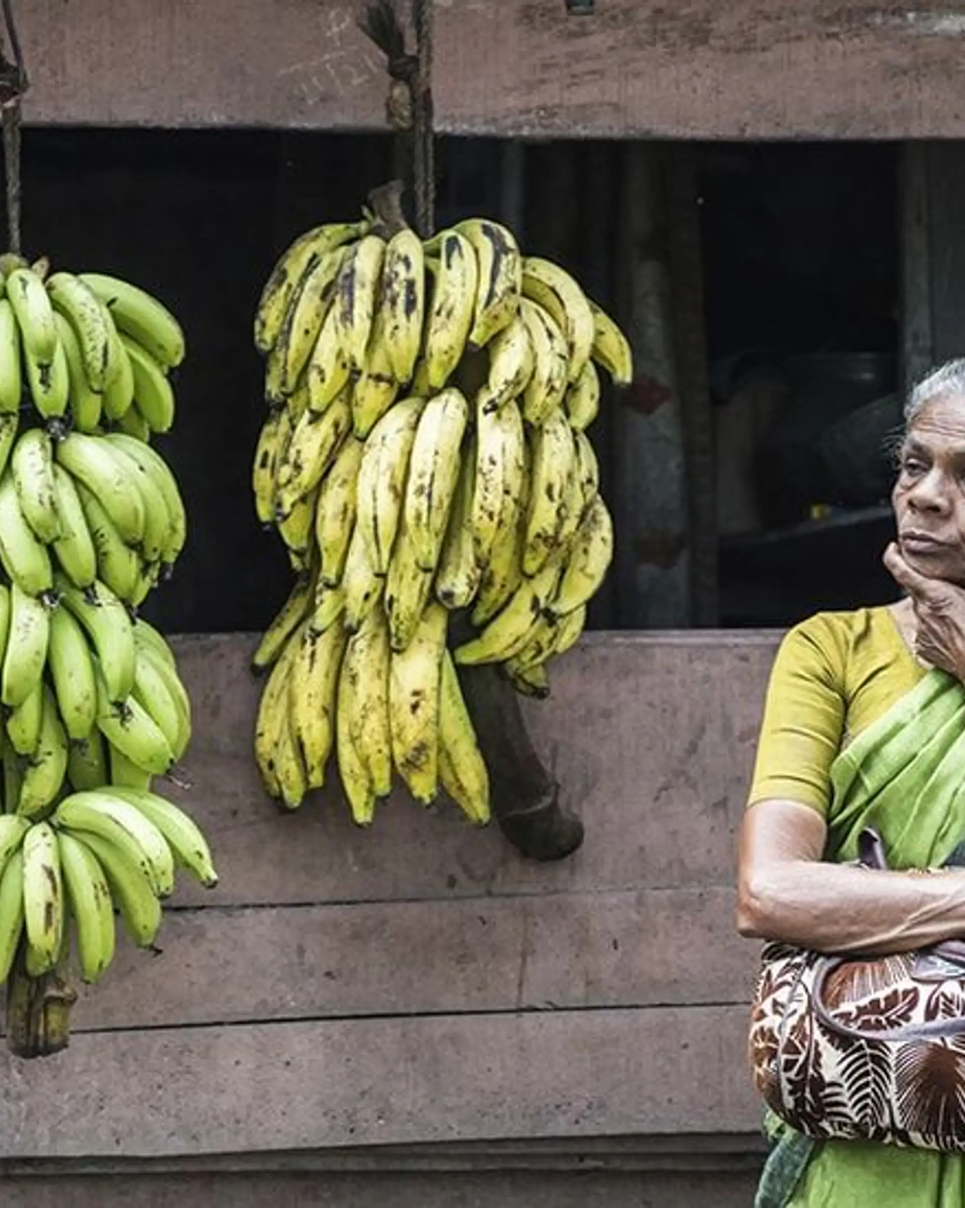 Travel in Asia - An elderly woman in a green and yellow traditional sari selling bananas in South India