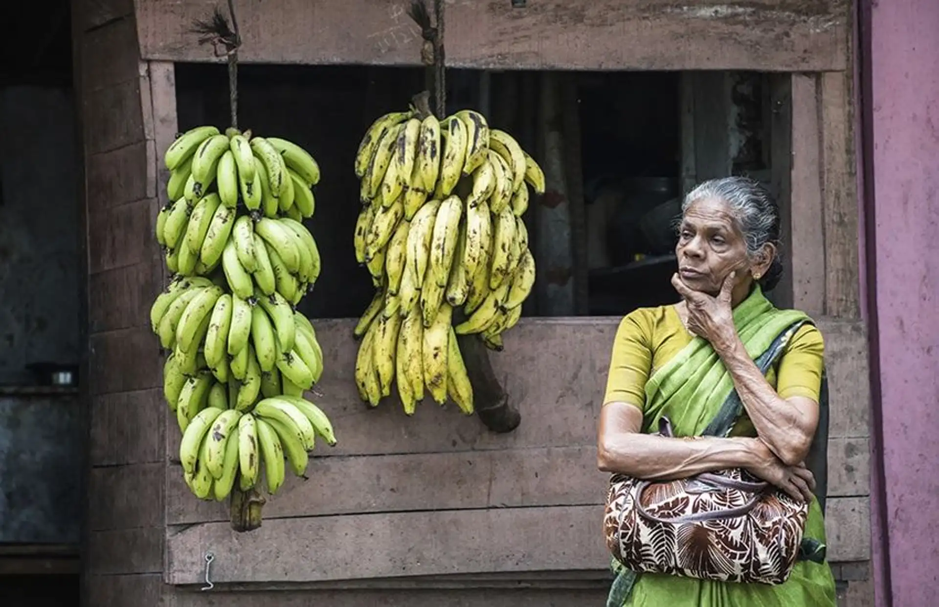 Travel in Asia - An elderly woman in a green and yellow traditional sari selling bananas in South India