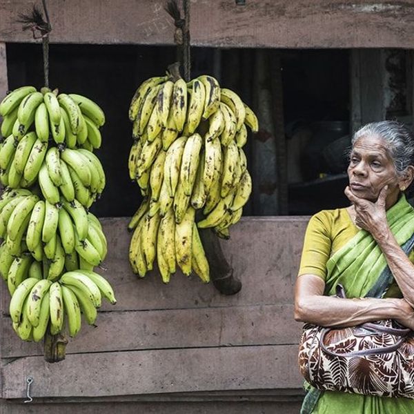 Travel in Asia - An elderly woman in a green and yellow traditional sari selling bananas in South India