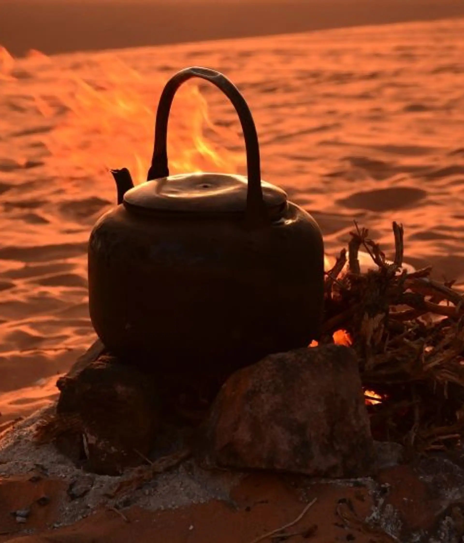 trek-desert-wadi-rum