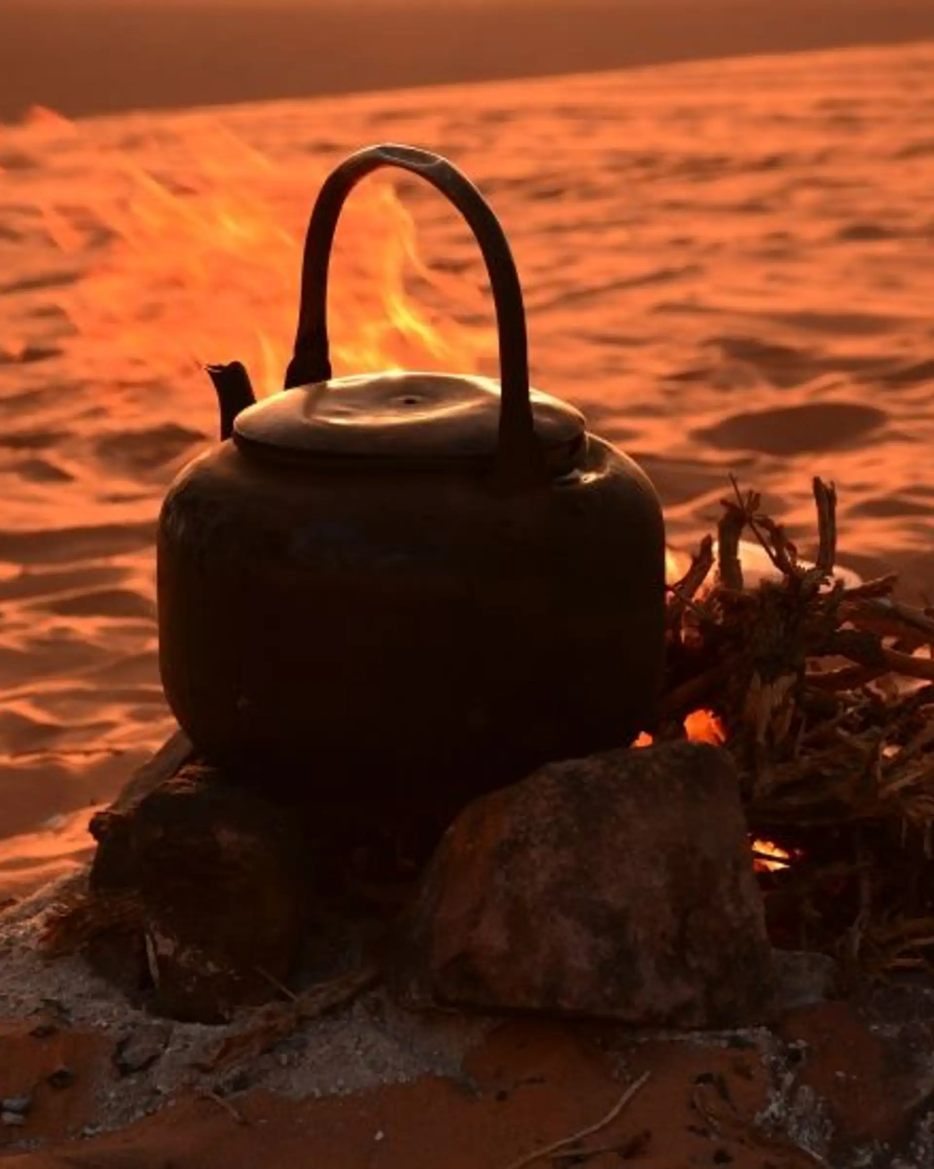 trek-desert-wadi-rum