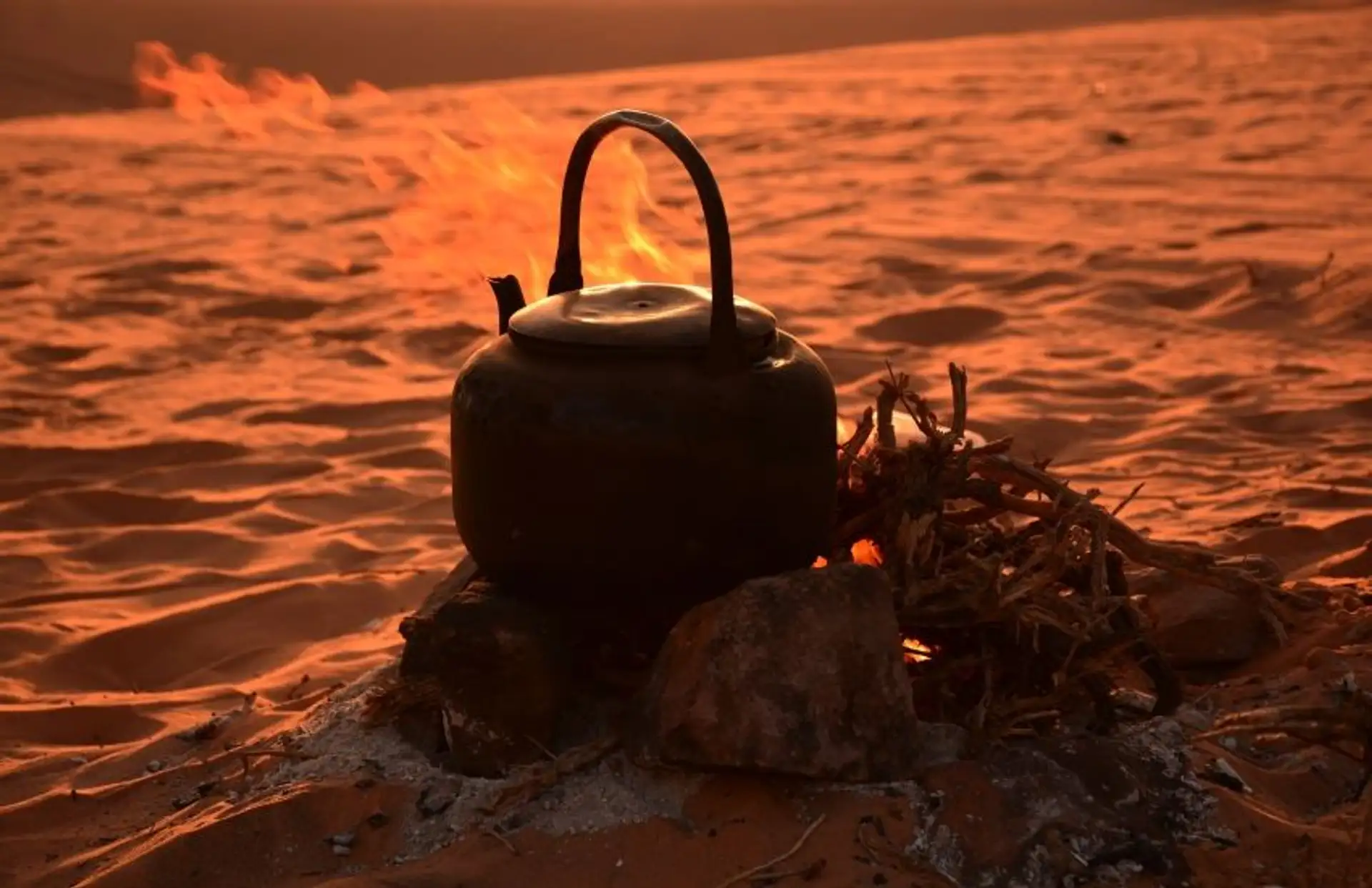 trek-desert-wadi-rum