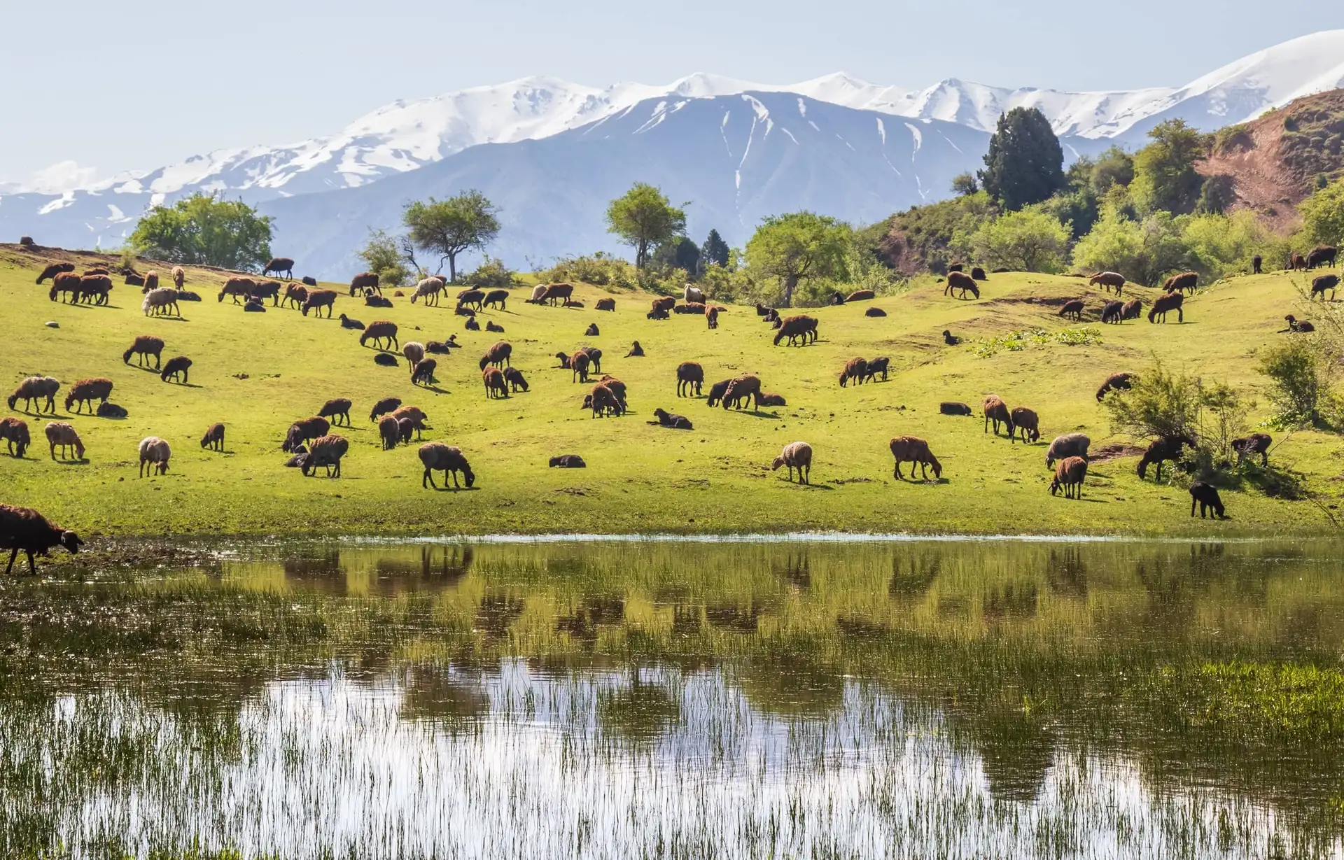 trek-immersif-ouzbekistan