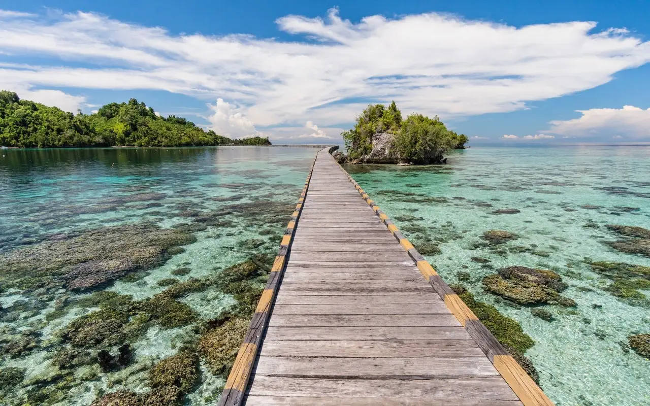 celebes