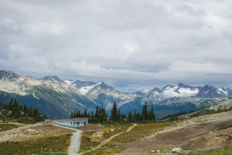 Paysage alpin ouvert avec alpages verdoyants au premier plan et chaîne de montagnes aux crêtes rocheuses sous un ciel nuageux à Whistler