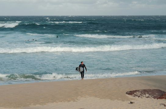 Surfeur sortant de l'eau avec sa planche sur la plage de Bondi