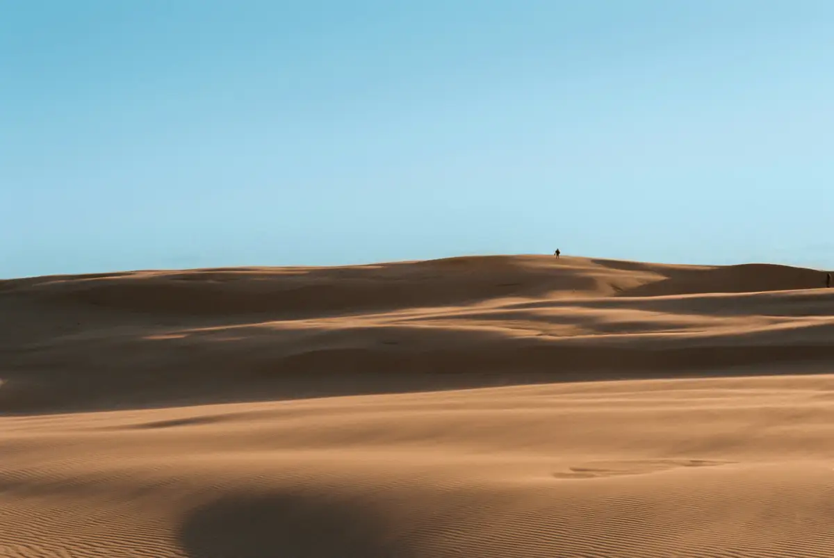 Vastes dunes de sable doré s'étendant sous un ciel clair à Stockton Beach