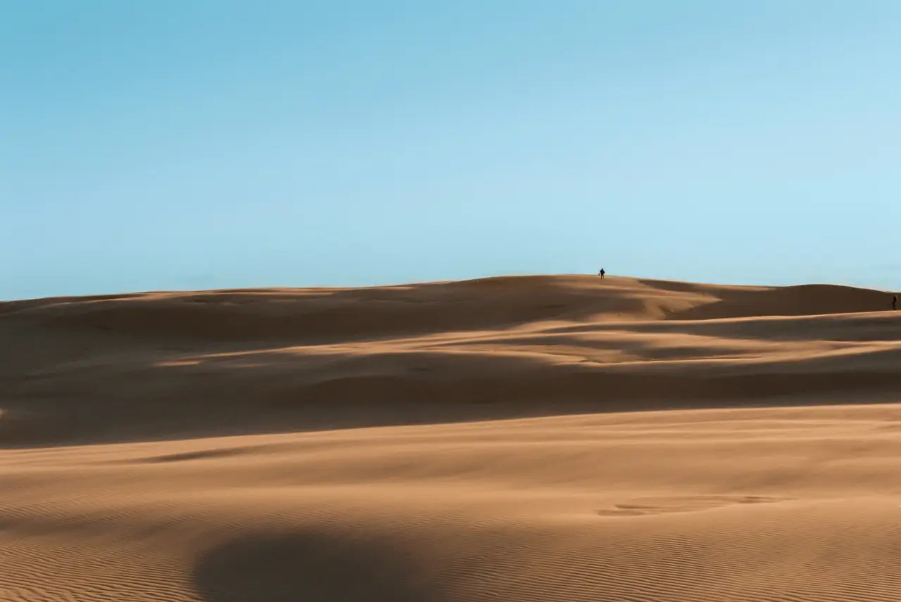 Vastes dunes de sable doré s'étendant sous un ciel clair à Stockton Beach