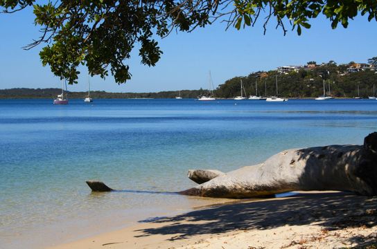 Tronc d'arbre échoué sur le sable face à des voiliers voiliers