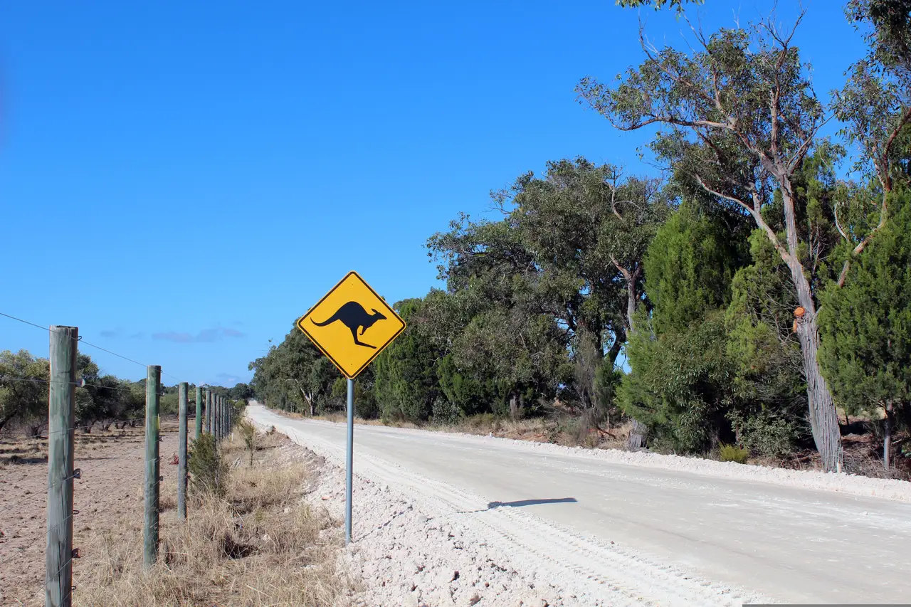 Panneau routier jaune signalant une zone de présence de kangourous le long d'une route isolée