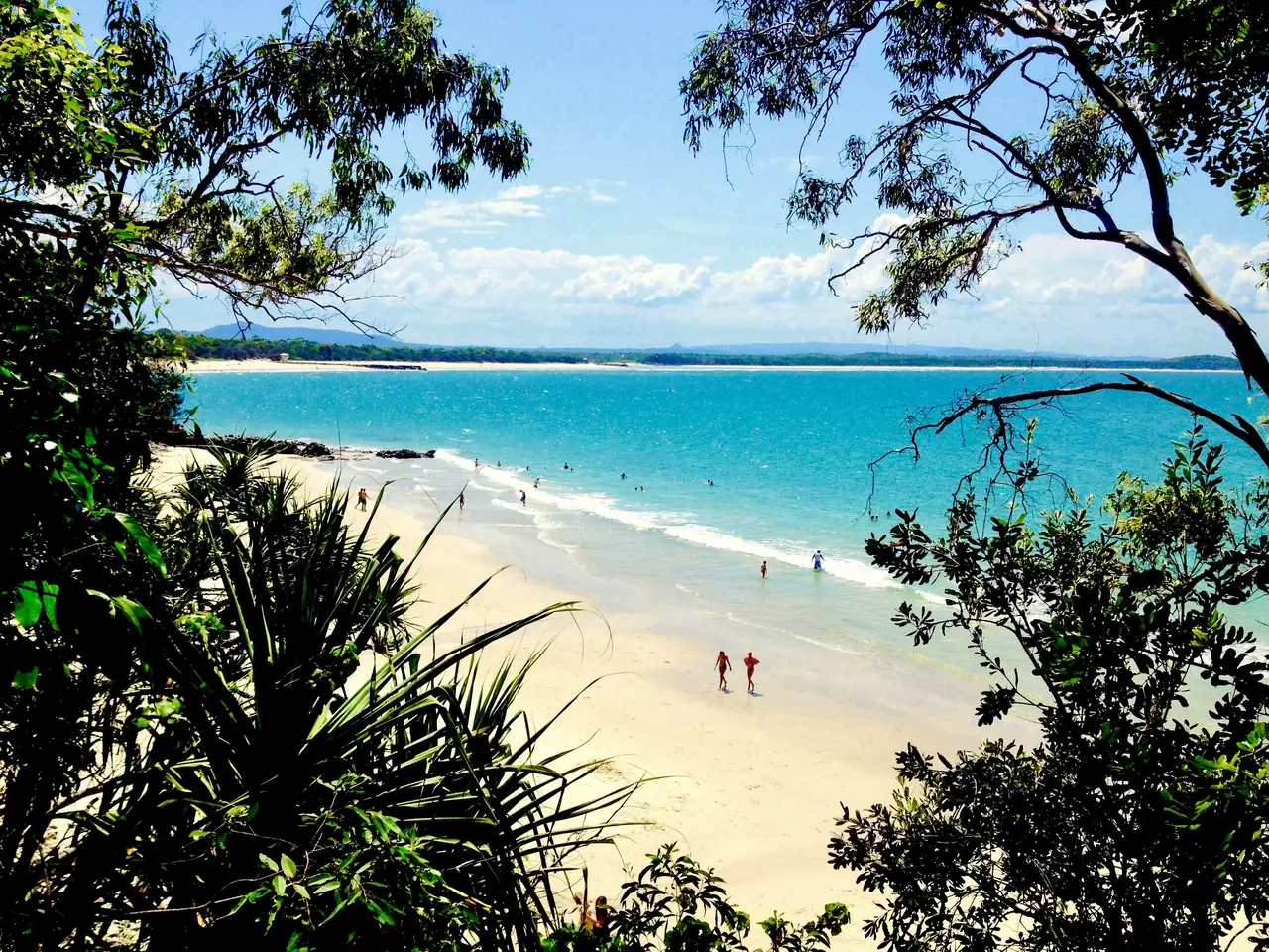 Rivage de sable blanc encadré par une végétation tropicale au Parc National de Noosa