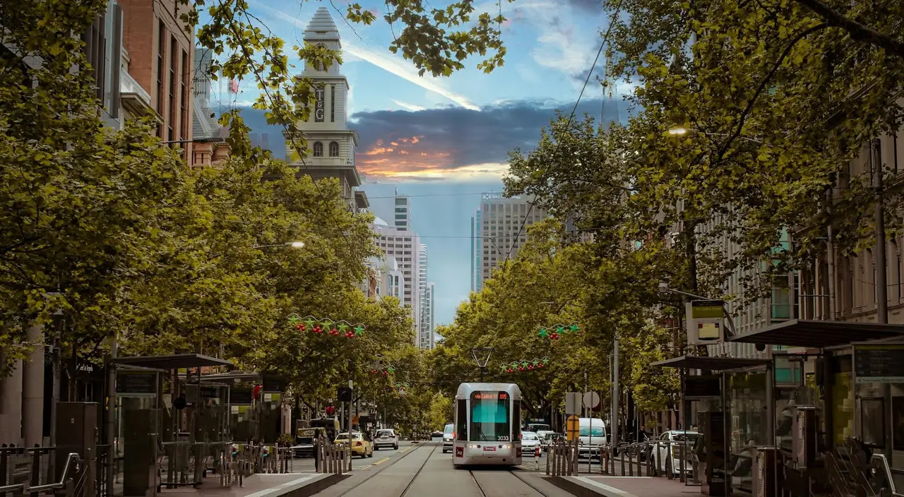 Tramway moderne circulant au centre d'une large avenue bordée d'arbres verdoyants à Melbourne au crépuscule