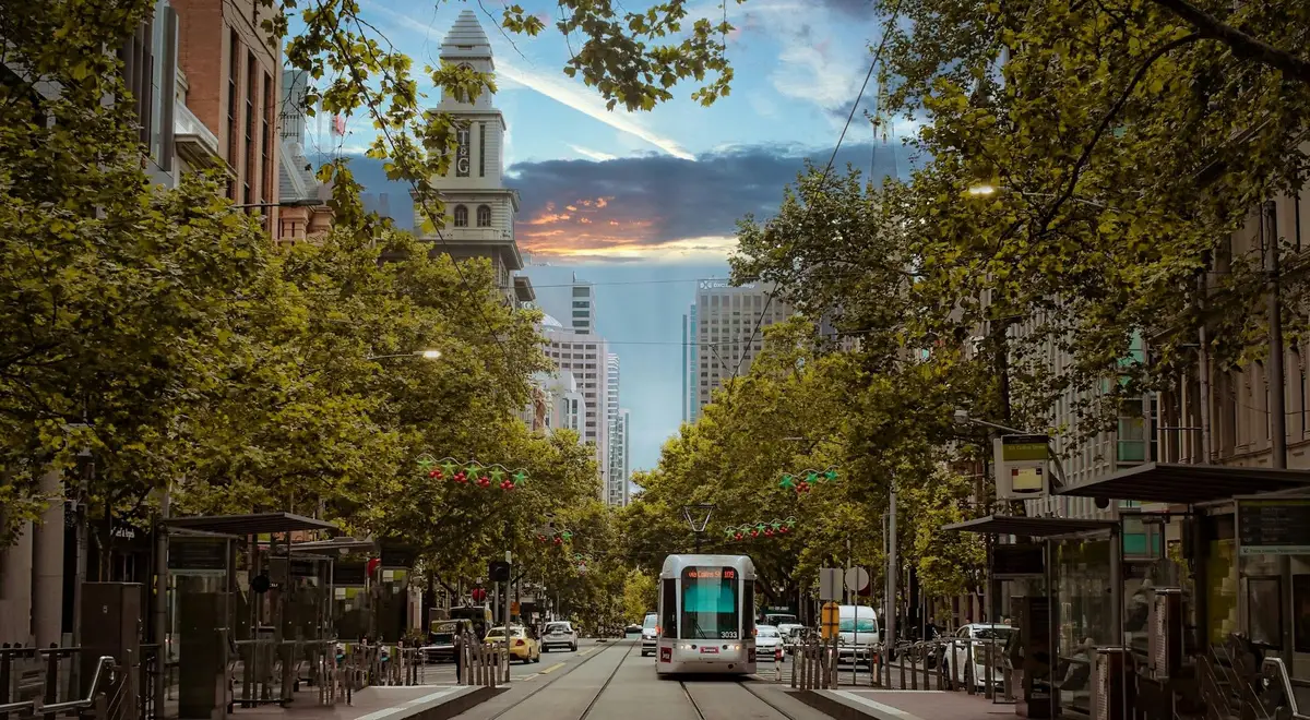 Tramway moderne circulant au centre d'une large avenue bordée d'arbres verdoyants à Melbourne au crépuscule