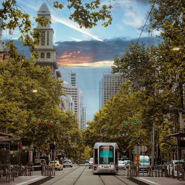Tramway moderne circulant au centre d'une large avenue bordée d'arbres verdoyants à Melbourne au crépuscule