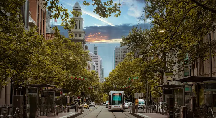 Tramway moderne circulant au centre d'une large avenue bordée d'arbres verdoyants à Melbourne au crépuscule
