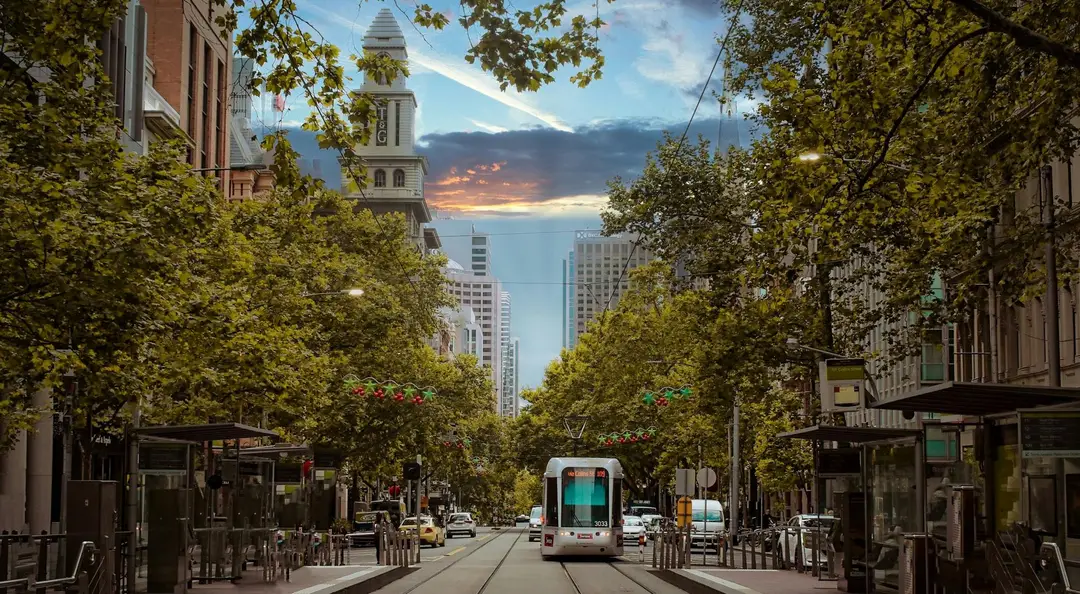 Tramway moderne circulant au centre d'une large avenue bordée d'arbres verdoyants à Melbourne au crépuscule