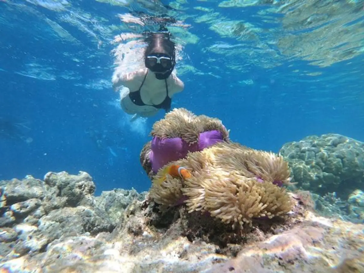 schnorchelausflug und unterwasserparadies Indonesien