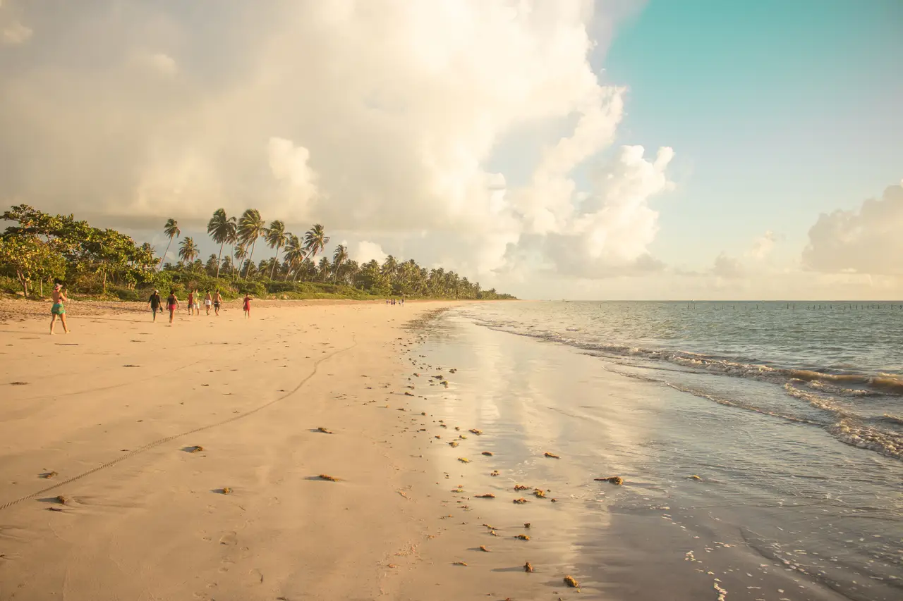 Voyage au Brésil – Longue plage de sable blanc déserte et sauvage bordée de cocotiers à São Miguel dos Milagres, sous un ciel de fin d'après-midi.