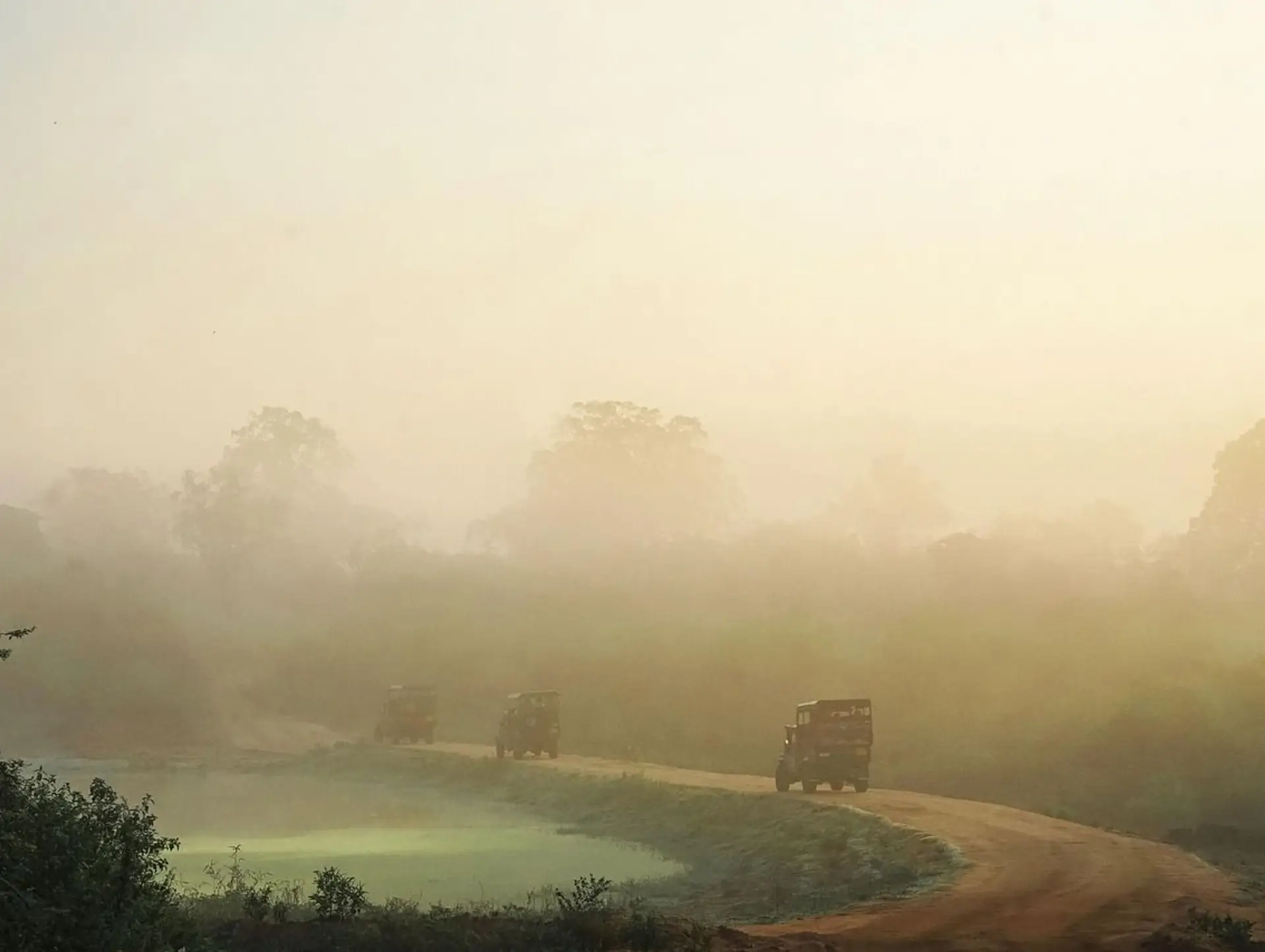 Voyager responsable au Sri Lanka : gestes simples et impact durable