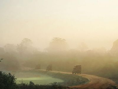 Voyager responsable au Sri Lanka : gestes simples et impact durable