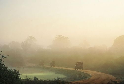 Voyage au Sri Lanka – Road trip sur un chemin brumeux