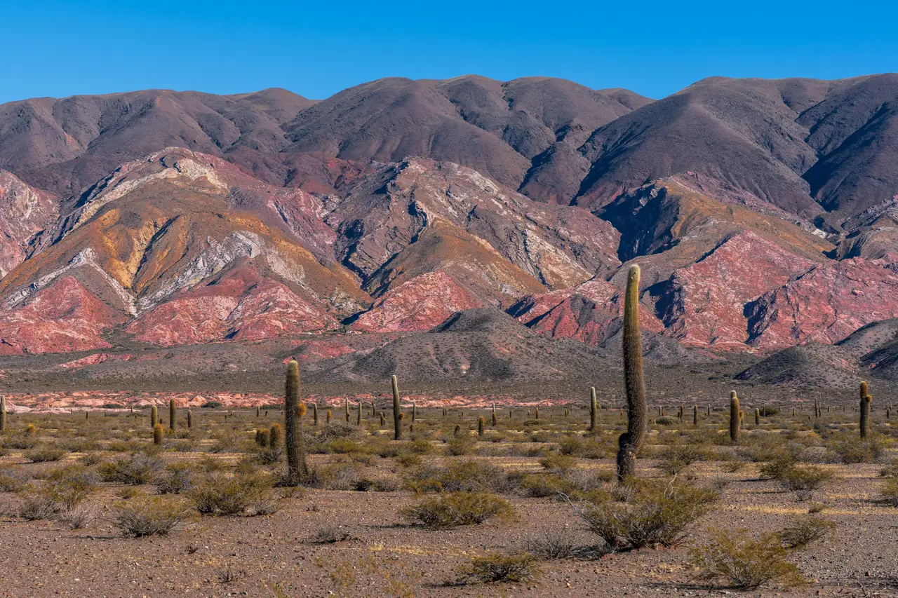 Voyage en Argentine – Cactus géants du Parc National Los Cardones devant les montagnes colorées de la région de Salta.