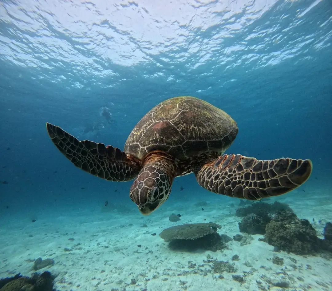sea-9505767_1280.webp