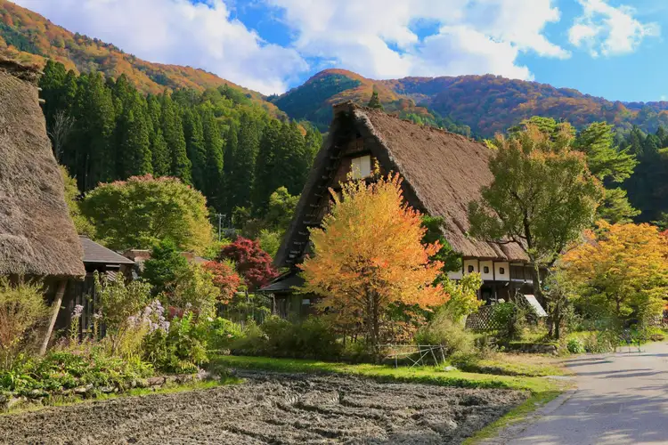 aisons traditionnelles aux toits de chaume dans le village de Shirakawago sous un ciel bleu en automne.